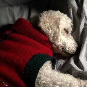 Meet your Posher, Tristana